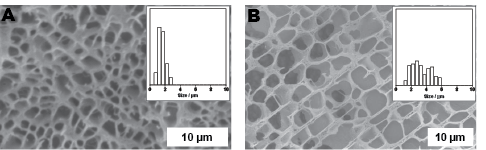 Electron micrograph of DNA-based hydrogel after treatment with complementary DNA